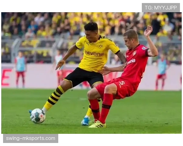 德甲夏窗转会赢家出炉：多特蒙德成最大赢家，引援表现亮眼